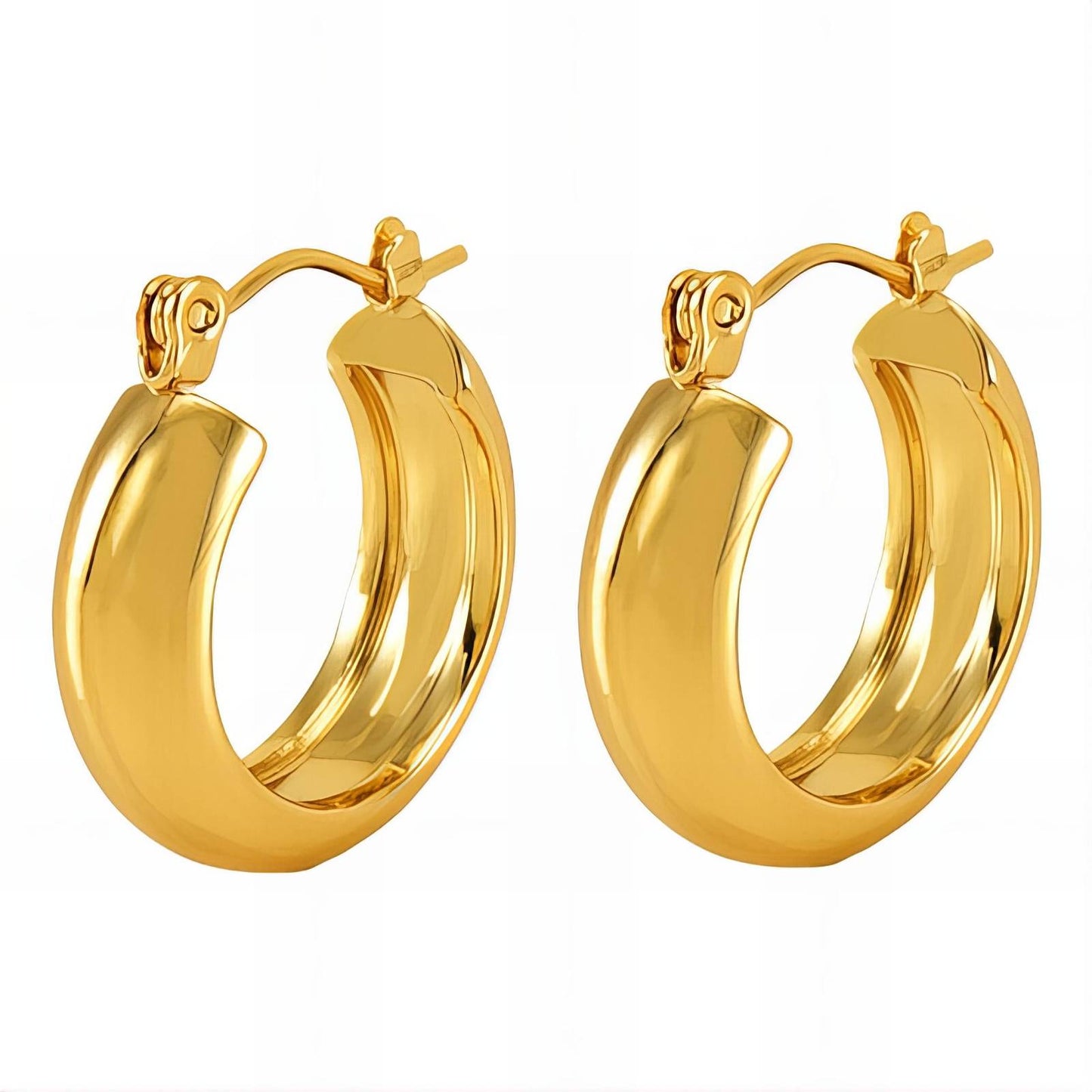 Chic earrings